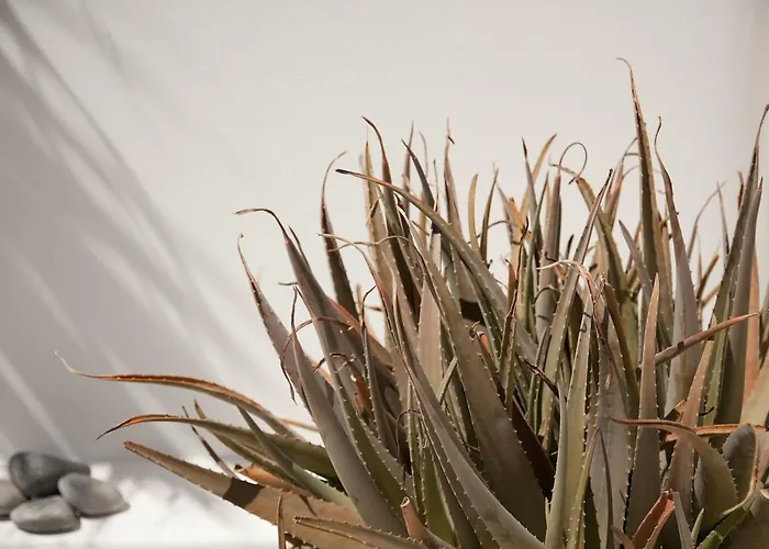 Cutimare - Aeolian Charme Acquacalda